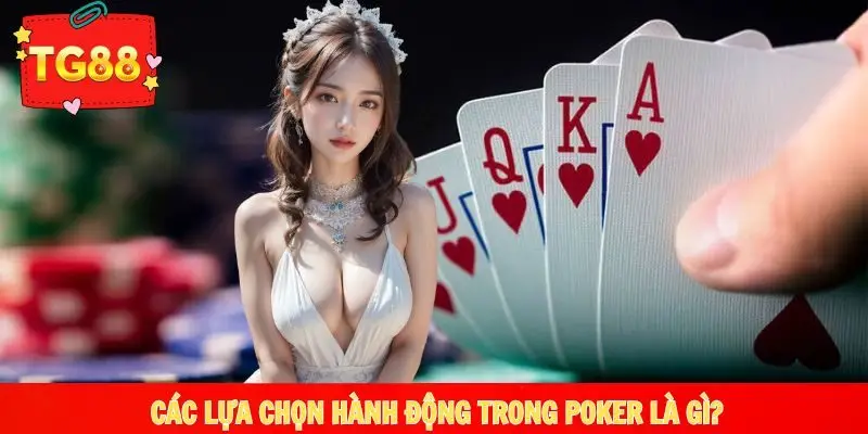 Các hành động lựa chọn thực hiện trong game bài Poker
