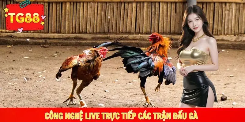 Sảnh có công nghệ live diễn biến cuộc đấu